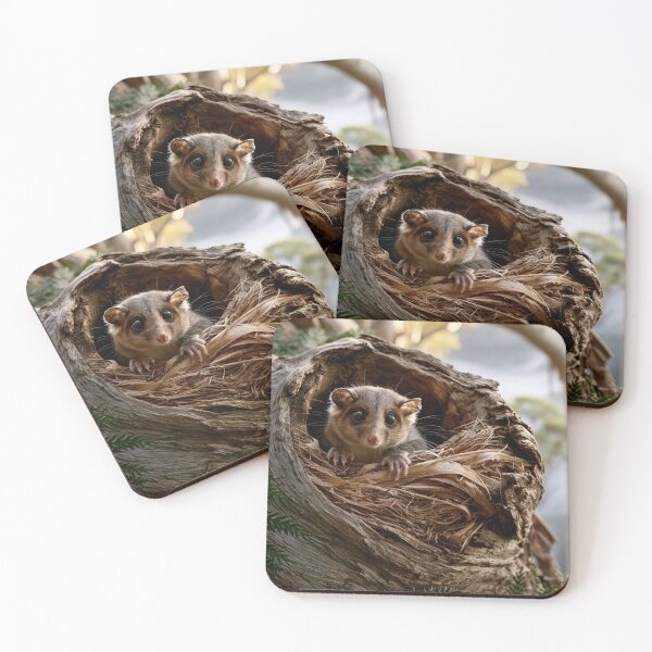Item preview, Leadbeater’s Possum: The Ones Who Said They Cared designed and sold by Colin Dixon.