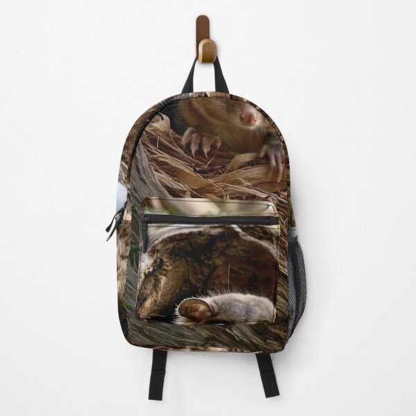 Item preview, Leadbeater’s Possum: The Ones Who Said They Cared designed and sold by Colin Dixon.