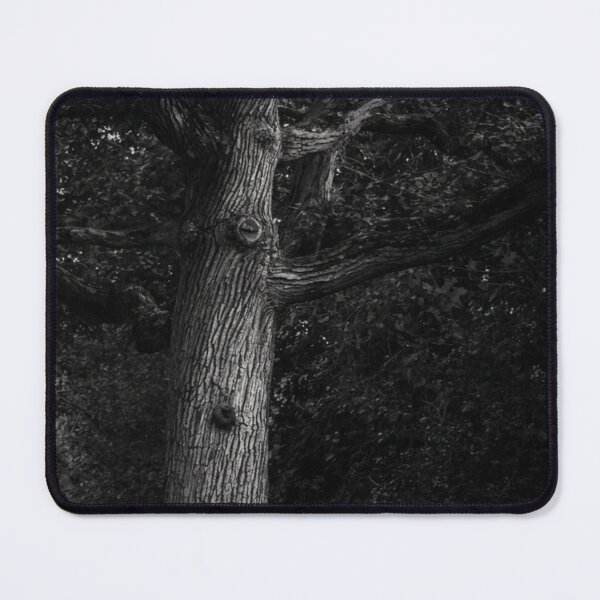 Item preview, Ancient Spooky Tree Gothic Photography designed and sold by Momma'SanityDesign.