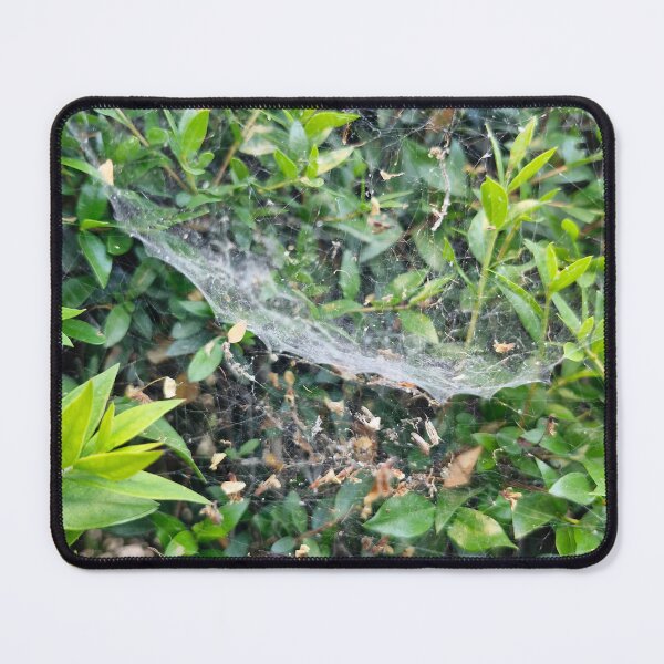 Item preview, cobwebs and a bush designed and sold by Lunar-Dragon.