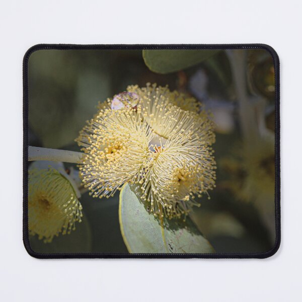 Item preview, Eucalyptus Oxymitra x Sessilis Blossom Print designed and sold by MinzMarchStudio.