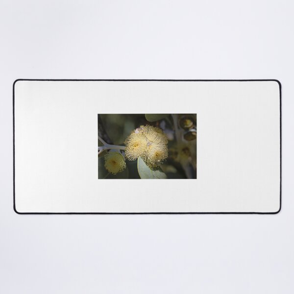 Item preview, Eucalyptus Oxymitra x Sessilis Blossom Print designed and sold by MinzMarchStudio.