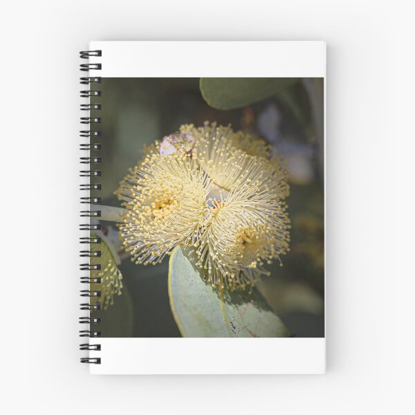 Item preview, Eucalyptus Oxymitra x Sessilis Blossom Print designed and sold by MinzMarchStudio.
