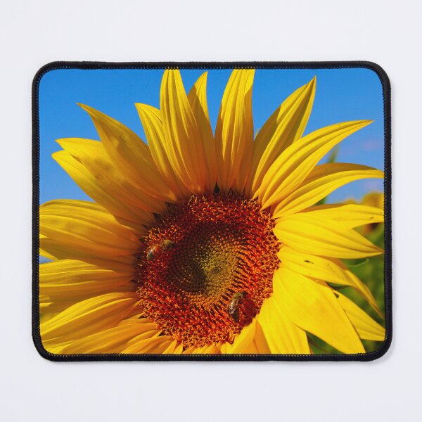 Item preview, Bees on a Sunflower designed and sold by Frankies-Place.