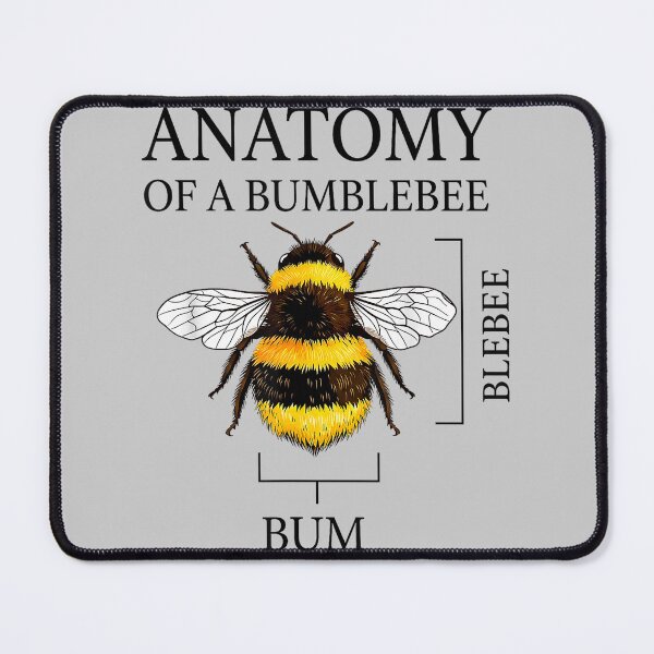 Item preview, Anatomy of A Bumblebee Vintage Funny Bee Science Joke designed and sold by mjohnson9.