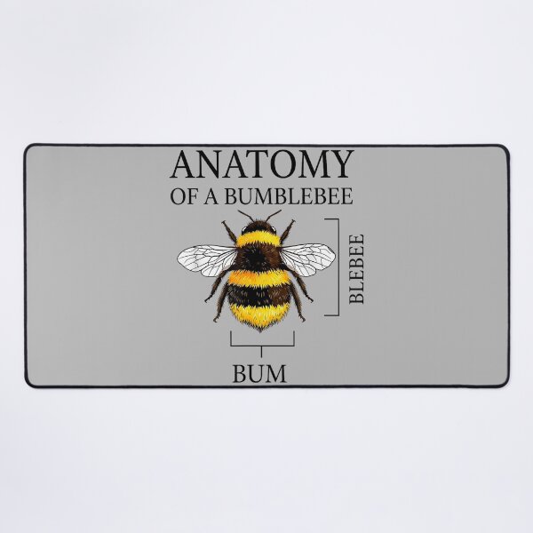 Item preview, Anatomy of A Bumblebee Vintage Funny Bee Science Joke designed and sold by mjohnson9.