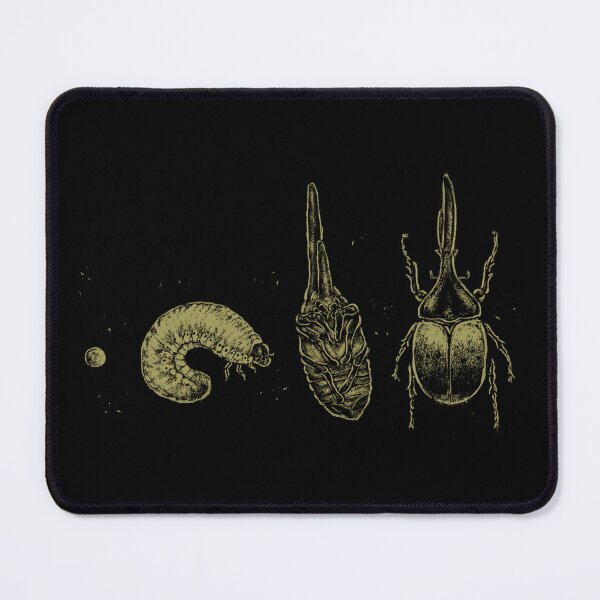 Item preview, Beetle Life Cycle designed and sold by xMorfina.
