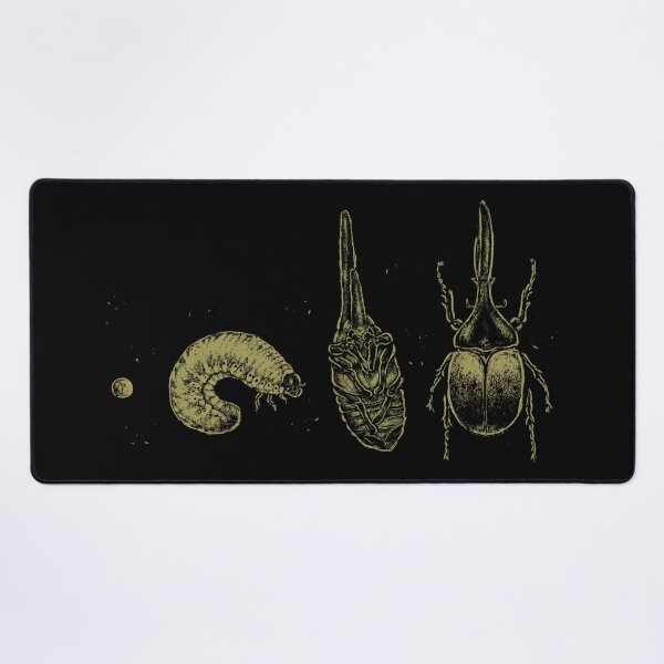 Item preview, Beetle Life Cycle designed and sold by xMorfina.