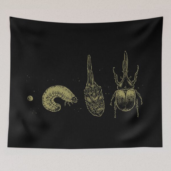 Item preview, Beetle Life Cycle designed and sold by xMorfina.