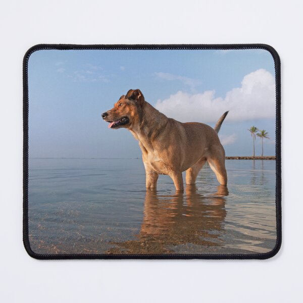 Item preview, Good Morning Sunshine designed and sold by Alex Preiss.