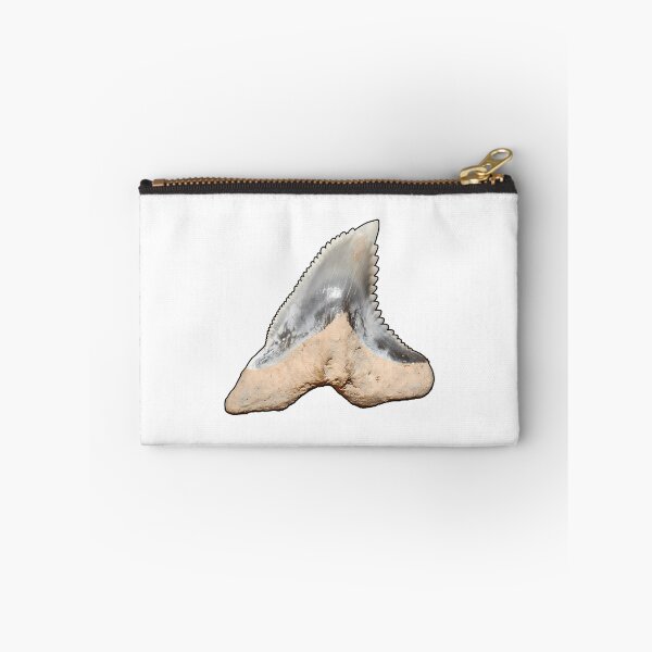 Item preview, Snaggletooth Shark Tooth Hemipristis Serra (Black Border) designed and sold by shguisn.