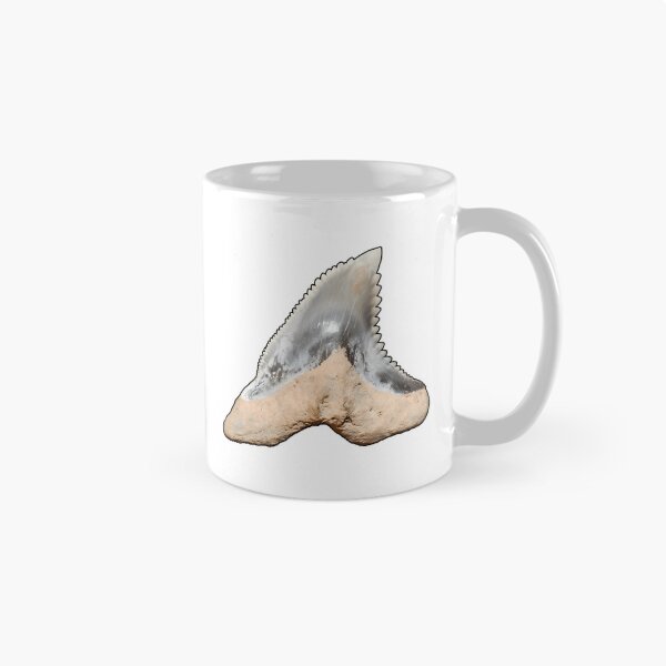 Item preview, Snaggletooth Shark Tooth Hemipristis Serra (Black Border) designed and sold by shguisn.