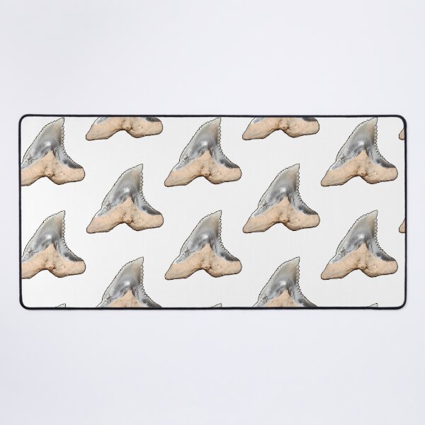Item preview, Snaggletooth Shark Tooth Hemipristis Serra (Black Border) designed and sold by shguisn.
