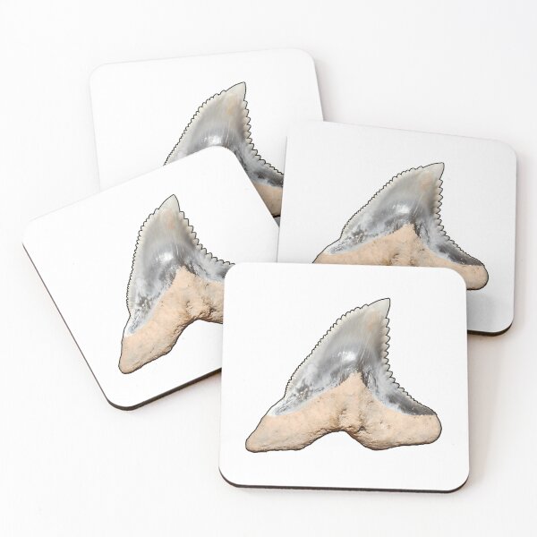 Item preview, Snaggletooth Shark Tooth Hemipristis Serra (Black Border) designed and sold by shguisn.