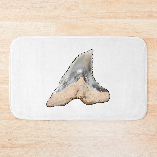 Item preview, Snaggletooth Shark Tooth Hemipristis Serra (Black Border) designed and sold by shguisn.