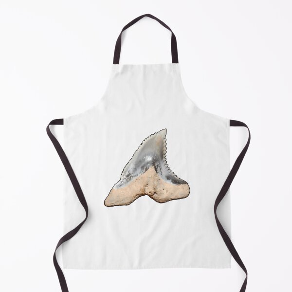 Item preview, Snaggletooth Shark Tooth Hemipristis Serra (Black Border) designed and sold by shguisn.