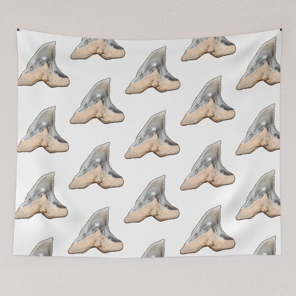 Item preview, Snaggletooth Shark Tooth Hemipristis Serra (Black Border) designed and sold by shguisn.