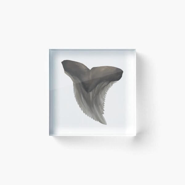 Item preview, Snaggletooth Shark Tooth designed and sold by shguisn.
