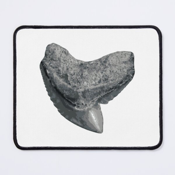 Item preview, Tiger Shark Tooth Sticker designed and sold by shguisn.