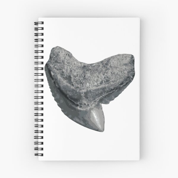 Item preview, Tiger Shark Tooth Sticker designed and sold by shguisn.