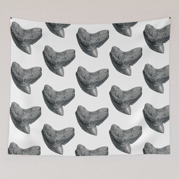 Item preview, Tiger Shark Tooth Sticker designed and sold by shguisn.