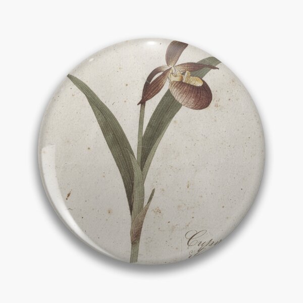 Item preview, Antique Pressed Orchid Botanical Herbarium Plate designed and sold by PictorialWhimsy.