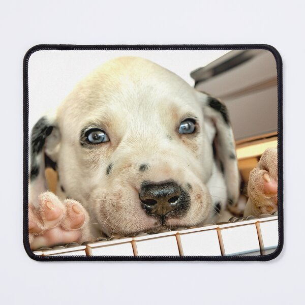 Item preview, Playing The Blues designed and sold by sandraanderson.