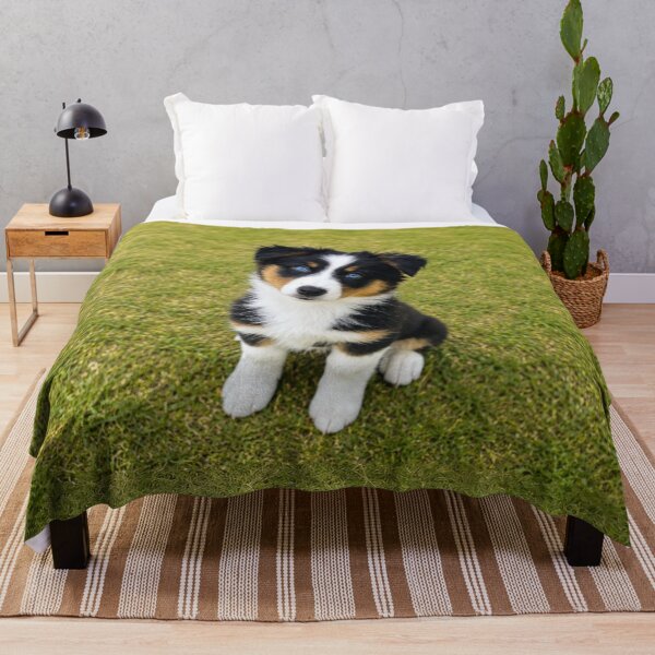 Item preview, Blue-Eyed Australian Shepherd Puppy on Green Grass designed and sold by Wild Bloom Paws.