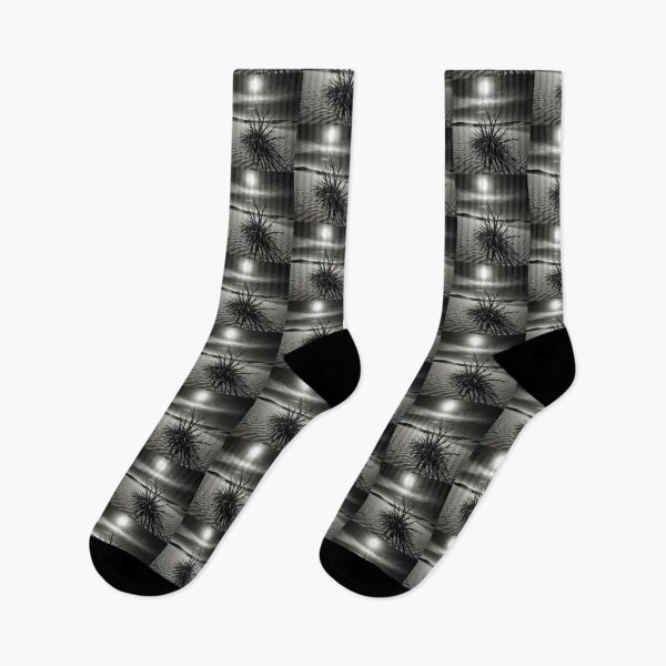 Item preview, A solitary plant in the desert - 2 designed and sold by Universe-of-Merch.
