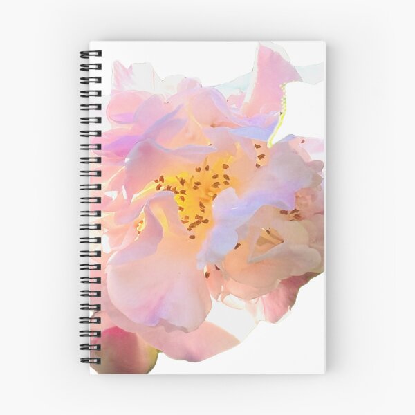 Item preview, Luminous Pastel Pink Camellia Blossom Botanical Cutout designed and sold by BalkanBloom.