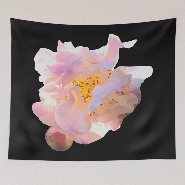 Item preview, Luminous Pastel Pink Camellia Blossom Botanical Cutout designed and sold by BalkanBloom.