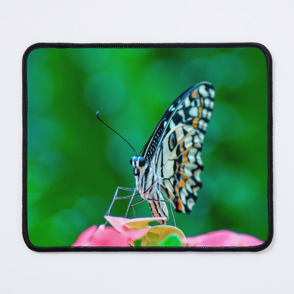 Item preview, Lime Butterfly Portrait on Pink Flowers Macro designed and sold by Jomsunshine.