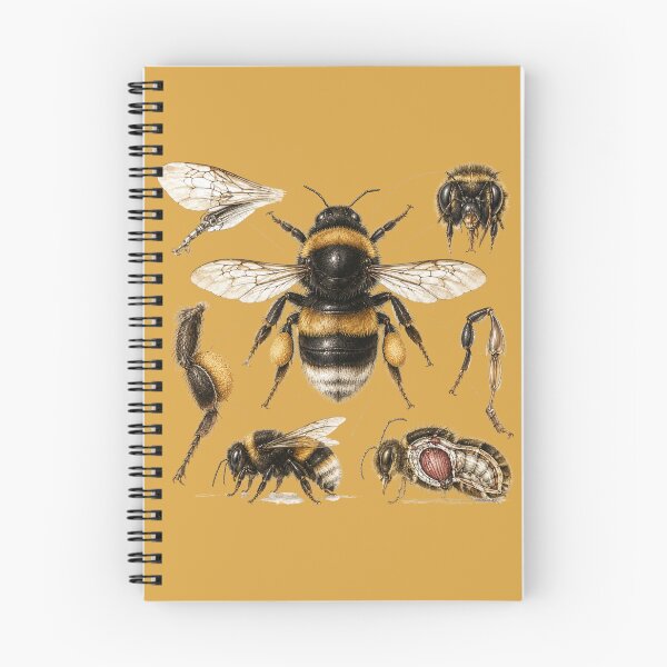 Item preview, Vintage Bumblebee Anatomy Print – Antique Scientific Insect Illustration Art designed and sold by MagicMakerPh.