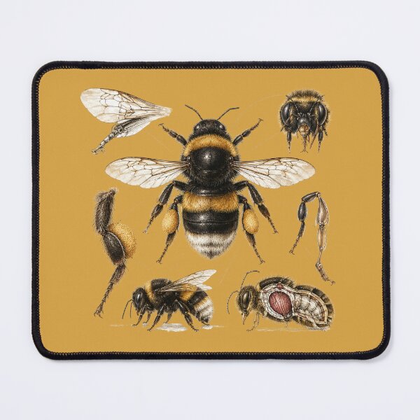 Item preview, Vintage Bumblebee Anatomy Print – Antique Scientific Insect Illustration Art designed and sold by MagicMakerPh.