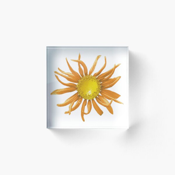 Item preview, Peachy Lemon Sunflower designed and sold by Lemondala.