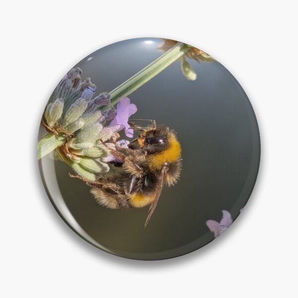 Item preview, Bee happy  designed and sold by Fiore.di.cactus.