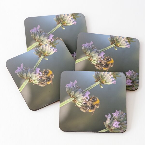 Aperçu de l'œuvre Abeille heureuse créée et vendue par Fiore.di.cactus.
