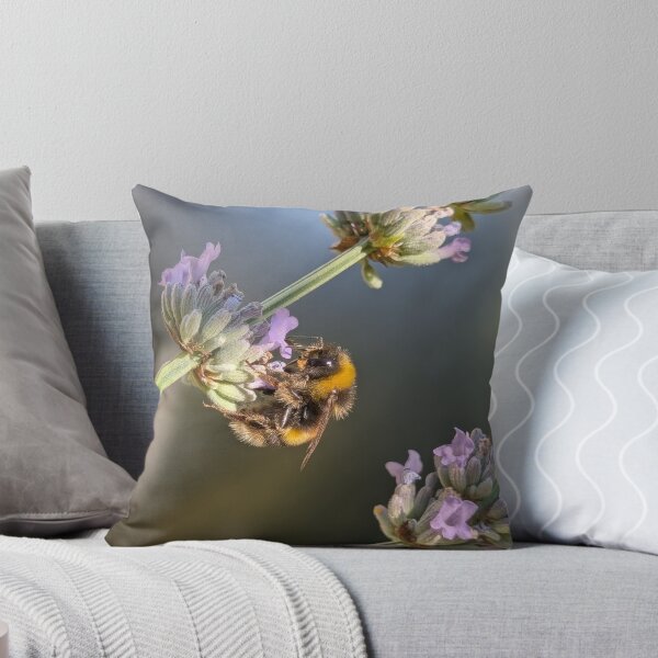 Item preview, Bee happy  designed and sold by Fiore.di.cactus.