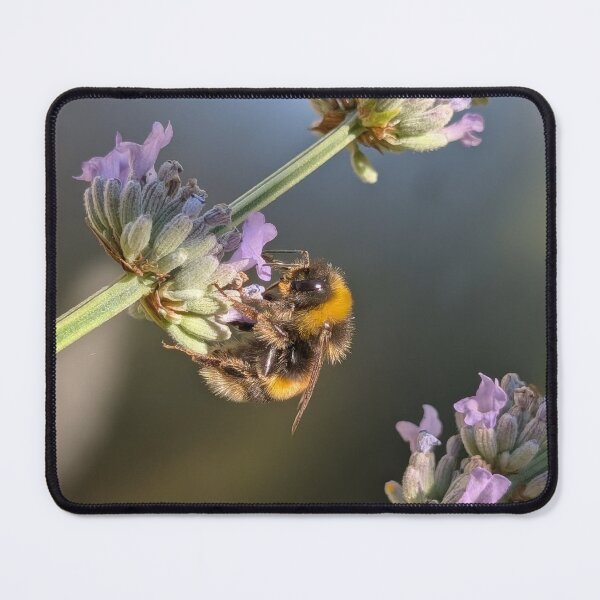 Item preview, Bee happy designed and sold by Fiore.di.cactus.