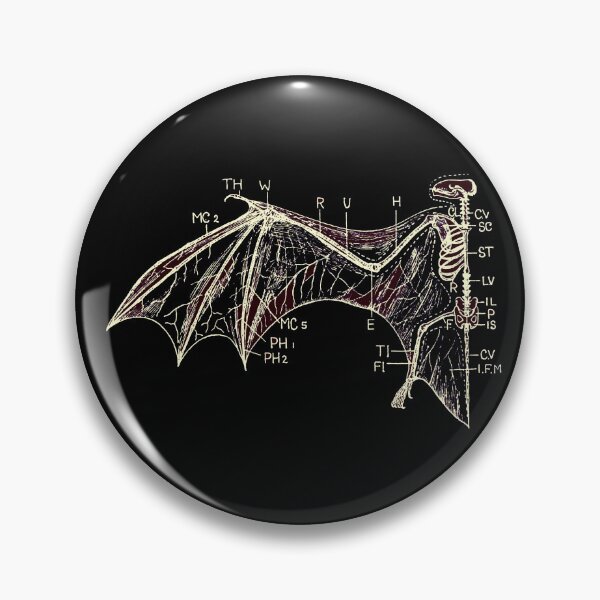 Item preview, Bat Wing Anatomy designed and sold by weirdove.