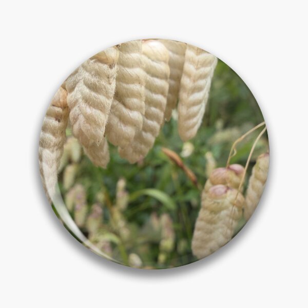 Item preview, Quaking Grass designed and sold by Betsy Phillips.