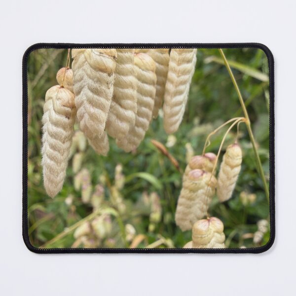 Item preview, Quaking Grass designed and sold by Betsy Phillips.