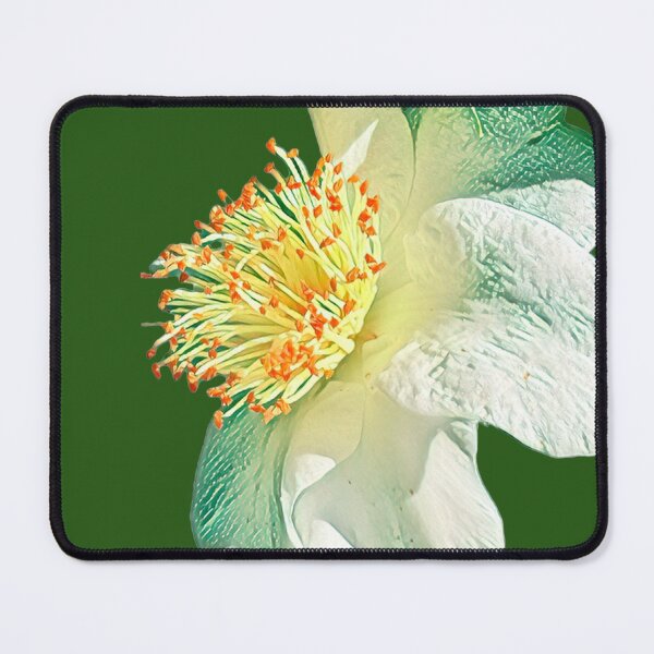 Item preview, Impressionist White Camellia Flower Digital Painting Art designed and sold by BalkanBloomArt.