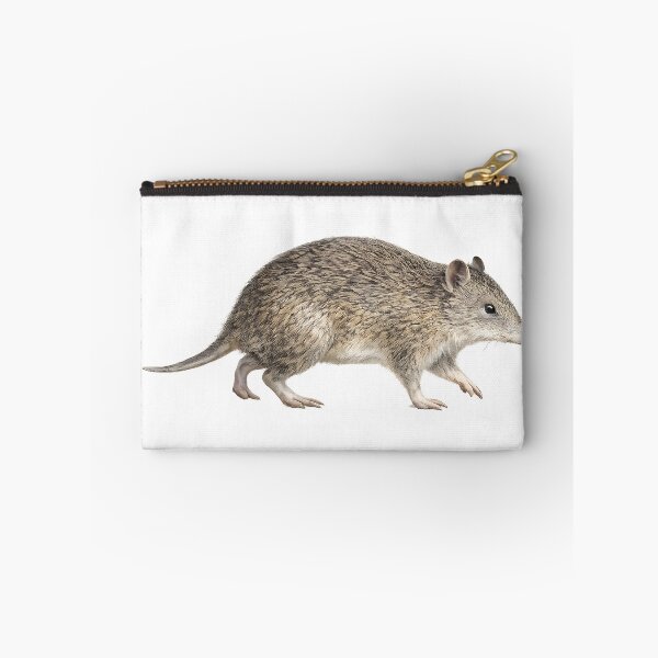 Item preview, Quenda — Southern Brown Bandicoot Watercolour designed and sold by Jaruart.
