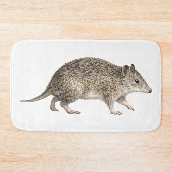 Item preview, Quenda — Southern Brown Bandicoot Watercolour designed and sold by Jaruart.