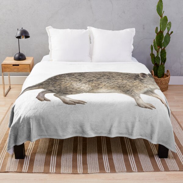 Item preview, Quenda — Southern Brown Bandicoot Watercolour designed and sold by Jaruart.
