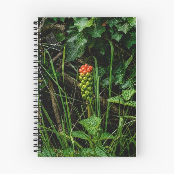 Item preview, The Quiet Discovery of Oostkapelle designed and sold by alexanderVision.