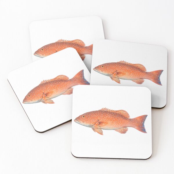 Item preview, Coral Trout Watercolour — Great Barrier Reef Fish designed and sold by Jaruart.