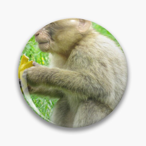 Item preview, Monkey Eating designed and sold by MattsPhotos93.