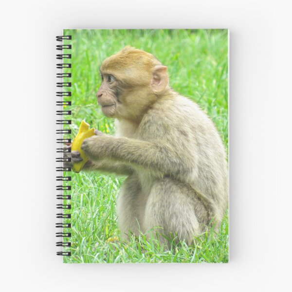 Item preview, Monkey Eating designed and sold by MattsPhotos93.